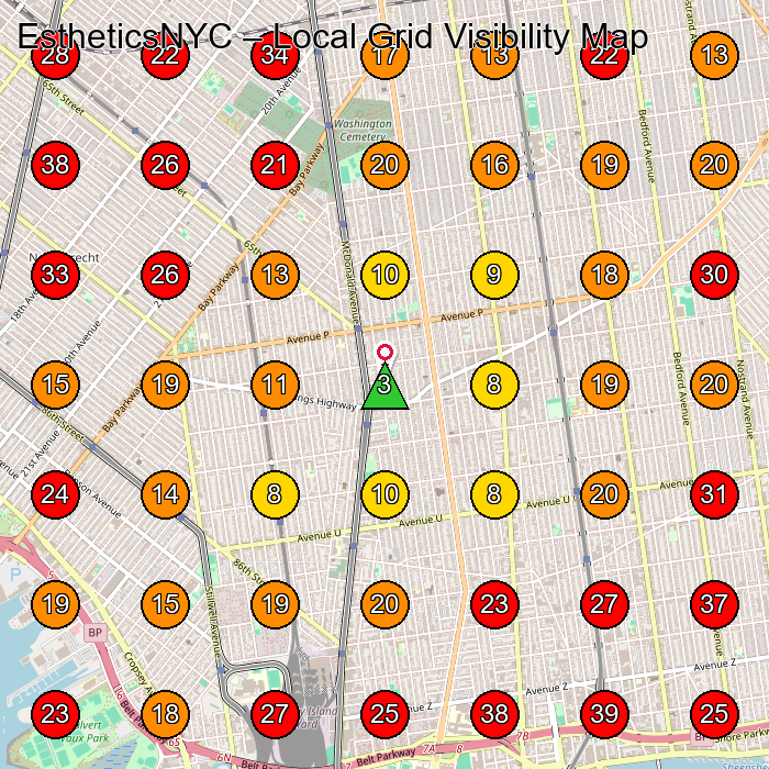 EstheticsNYC GeoGrid visibility map for Hair Extension Technician in Brooklyn